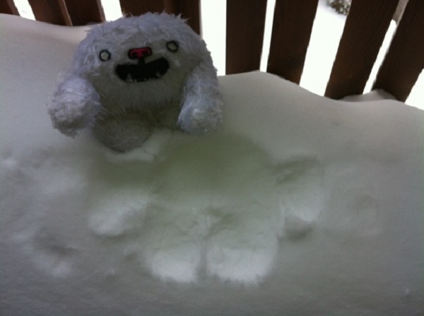 Magenta Living: Restoring employee engagement with an intranet upgrade (and a YETI) skiing