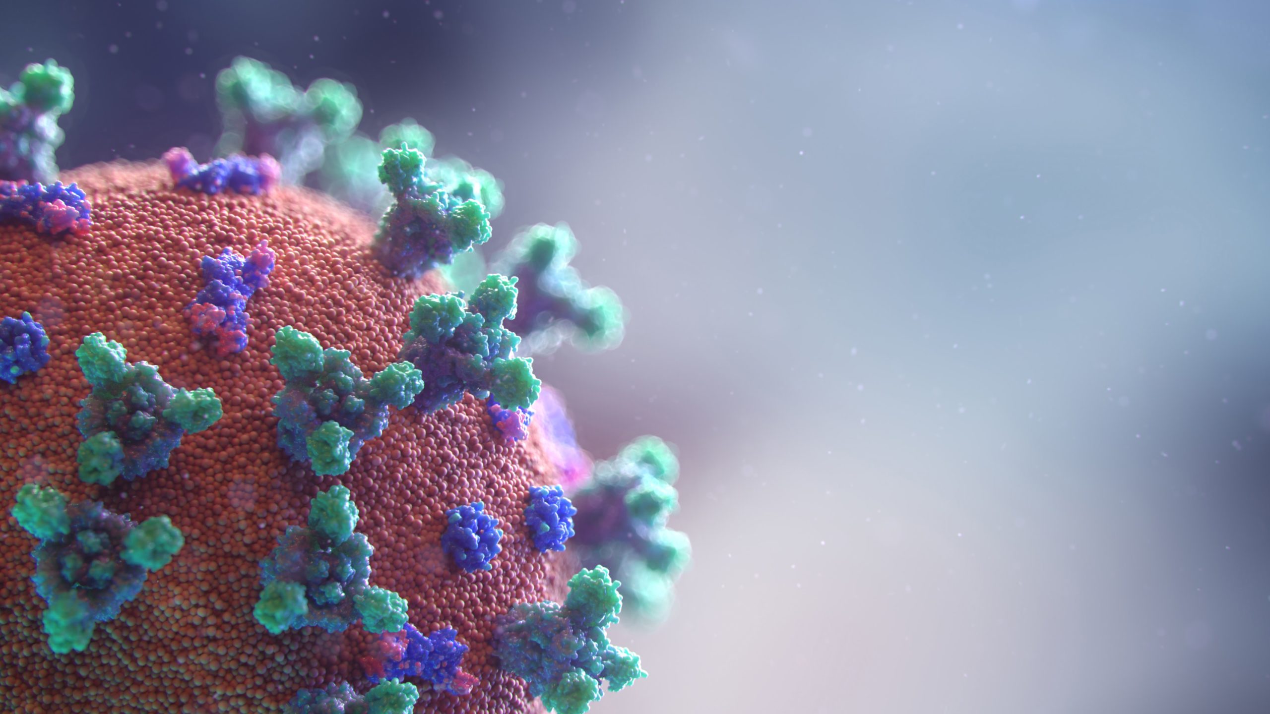 Thumbnail for How businesses in China navigated the coronavirus… and the lessons we can learn from them