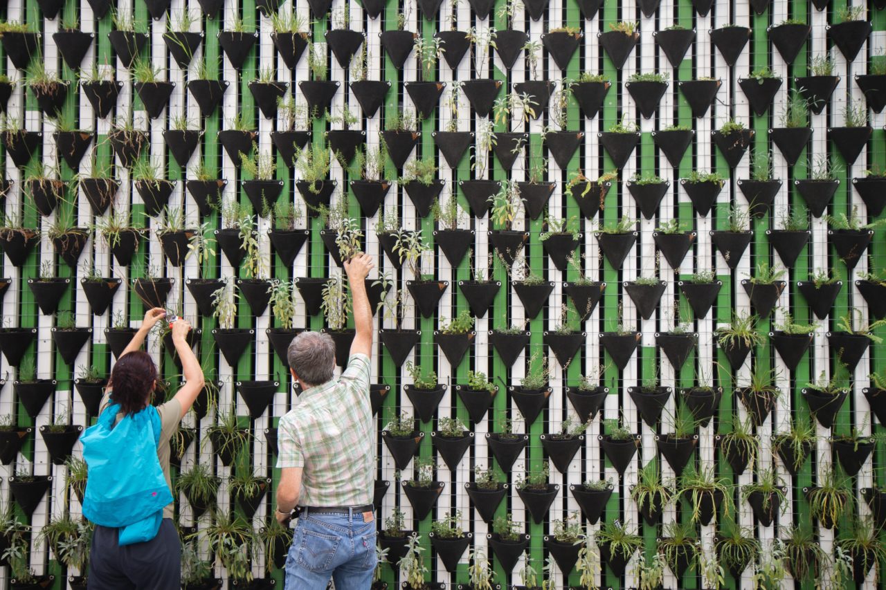 Employees responding to ESG communications by planting foliage.
